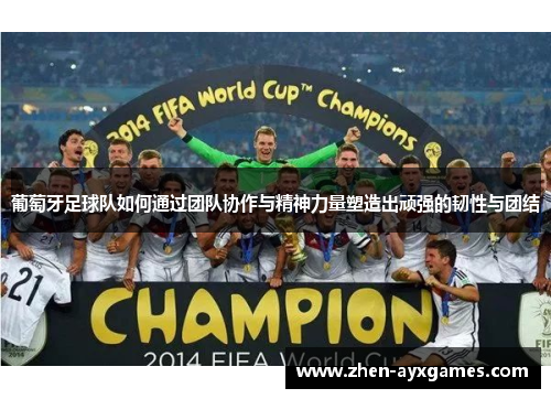 葡萄牙足球队如何通过团队协作与精神力量塑造出顽强的韧性与团结
