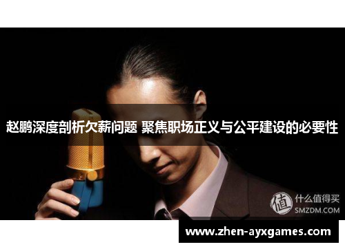 赵鹏深度剖析欠薪问题 聚焦职场正义与公平建设的必要性 赵鹏深度剖析欠薪问题 聚焦职场正义与公平建设的必要性