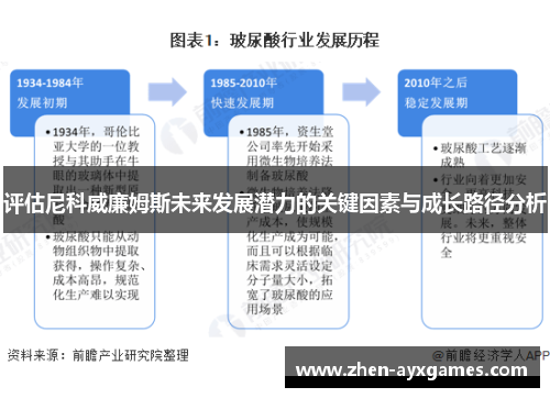 评估尼科威廉姆斯未来发展潜力的关键因素与成长路径分析