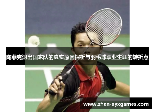 陶菲克退出国家队的真实原因探析与羽毛球职业生涯的转折点 陶菲克退出国家队的真实原因探析与羽毛球职业生涯的转折点