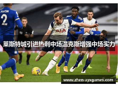 莱斯特城引进热刺中场温克斯增强中场实力