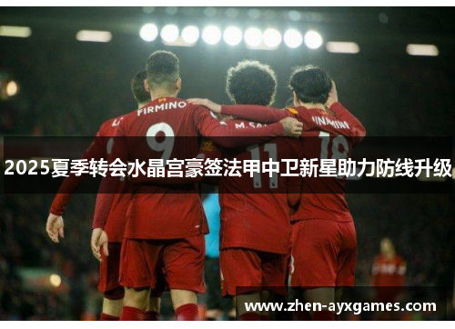 2025夏季转会水晶宫豪签法甲中卫新星助力防线升级