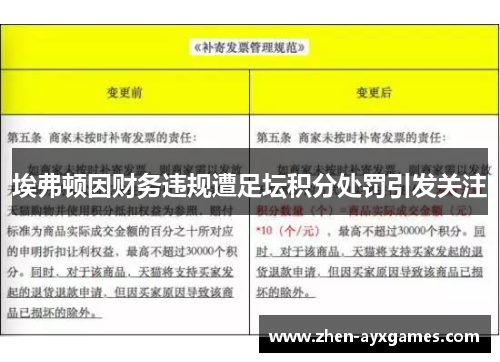 埃弗顿因财务违规遭足坛积分处罚引发关注 埃弗顿因财务违规遭足坛积分处罚引发关注